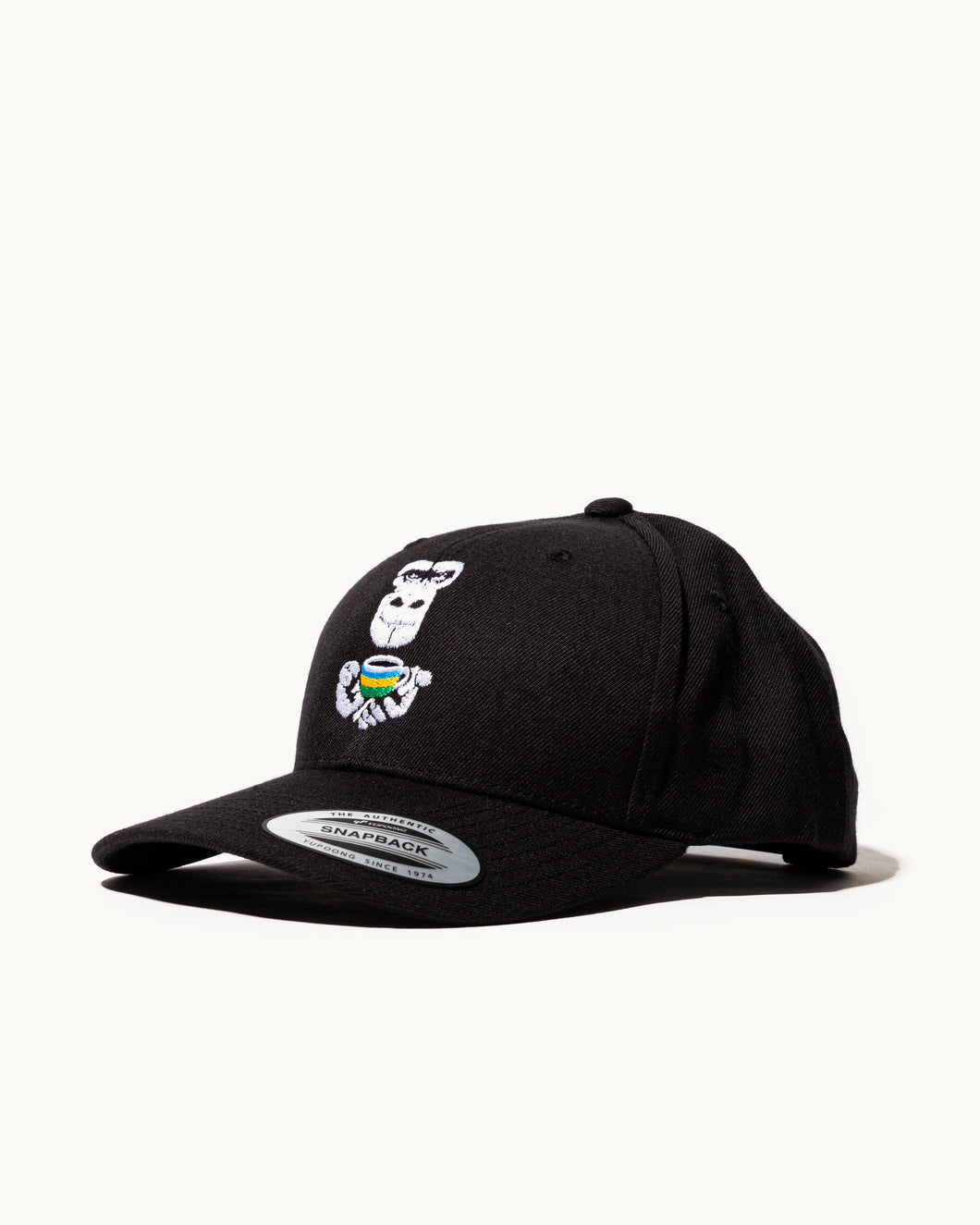 Structured Snapback Hat